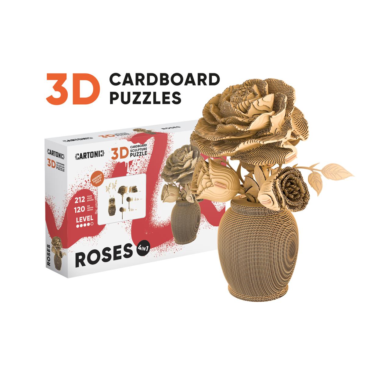 CARTROSES | Multybrand