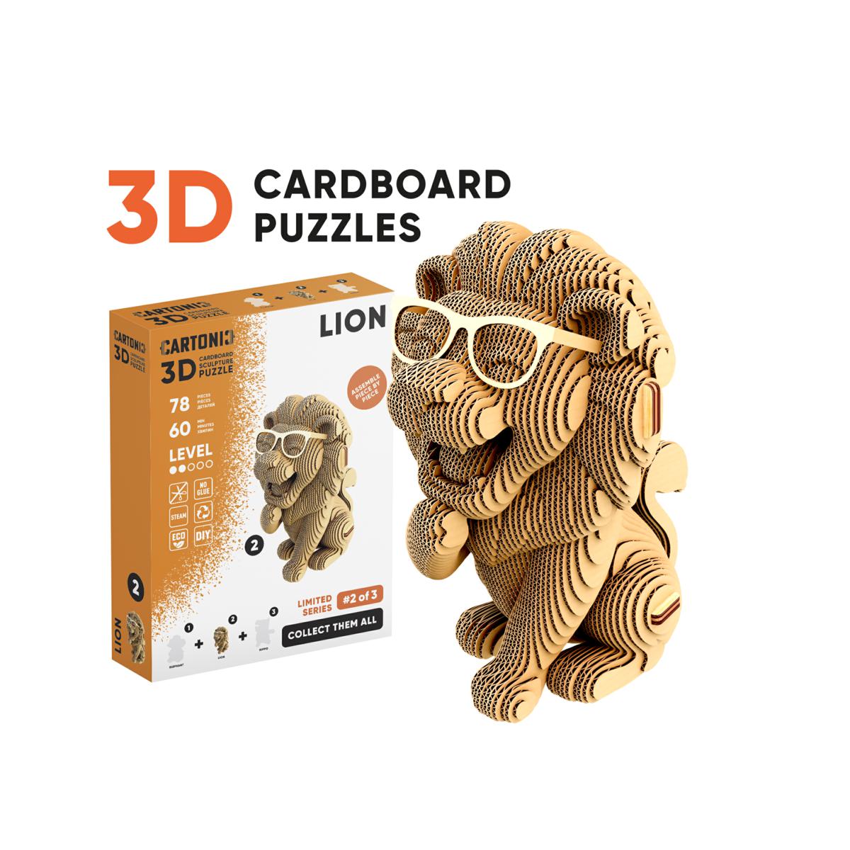 CCARTLION | Multybrand