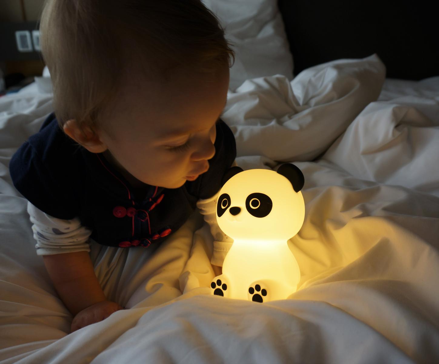 HE185862 | Multybrand